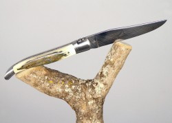 Laguiole Knife Ivory Crust of Mammoth's Tusk Handle image 7
