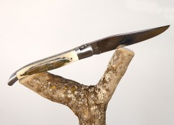 Laguiole Knife Ivory Crust of Mammoth's Tusk Handle image 17