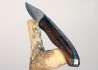 Laguiole Hunting Knife, Forged Spring, Walnut Full Handle image 4