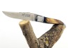 Rounded Laguiole Knife, Ebony and Sicilian Olivewood handle image 8