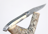 Laguiole Knife with Damascus Blade, Blond Horn tip handle image 4