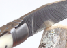 Laguiole Knife with Damascus Blade, Blond Horn tip handle image 8