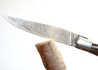 Laguiole Knife with Damascus Blade, Blond Horn tip handle image 13