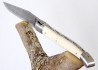 Laguiole Knife with Damascus Blade Ivory of Mammoth's Handle image 13