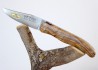 Laguiole de Chasse Forgé, Plein Manche en Bois d'Olivier image 2