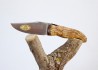 Laguiole Hunting Knife, Forged Spring, Olive Wood Full Handle image 5