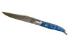 Forged Laguiole, Handle Made Off MammothTooth Molar image 5