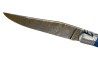 Forged Laguiole, Handle Made Off MammothTooth Molar image 11