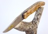 Laguiole Hunting Knife, Forged Spring, Olive Wood Full Handle image 14