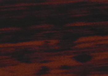 AMOURETTE WOOD