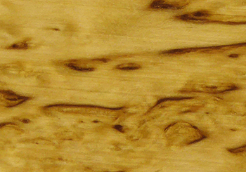 BIRCH WOOD