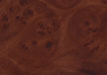 BRIAR ROOT WOOD