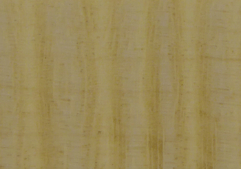 CURLY MAPLE WOOD