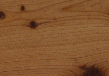 JUNIPER WOOD