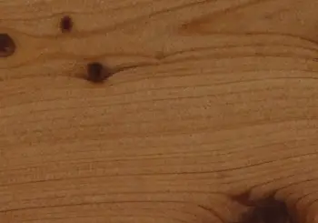 JUNIPER WOOD