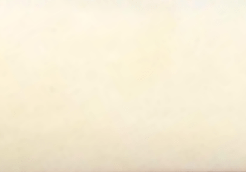 MAMMOTH IVORY
