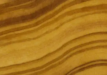 OLIVE WOOD