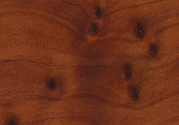 THUJA ROOT WOOD