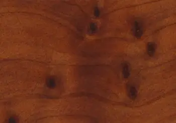 THUJA ROOT WOOD